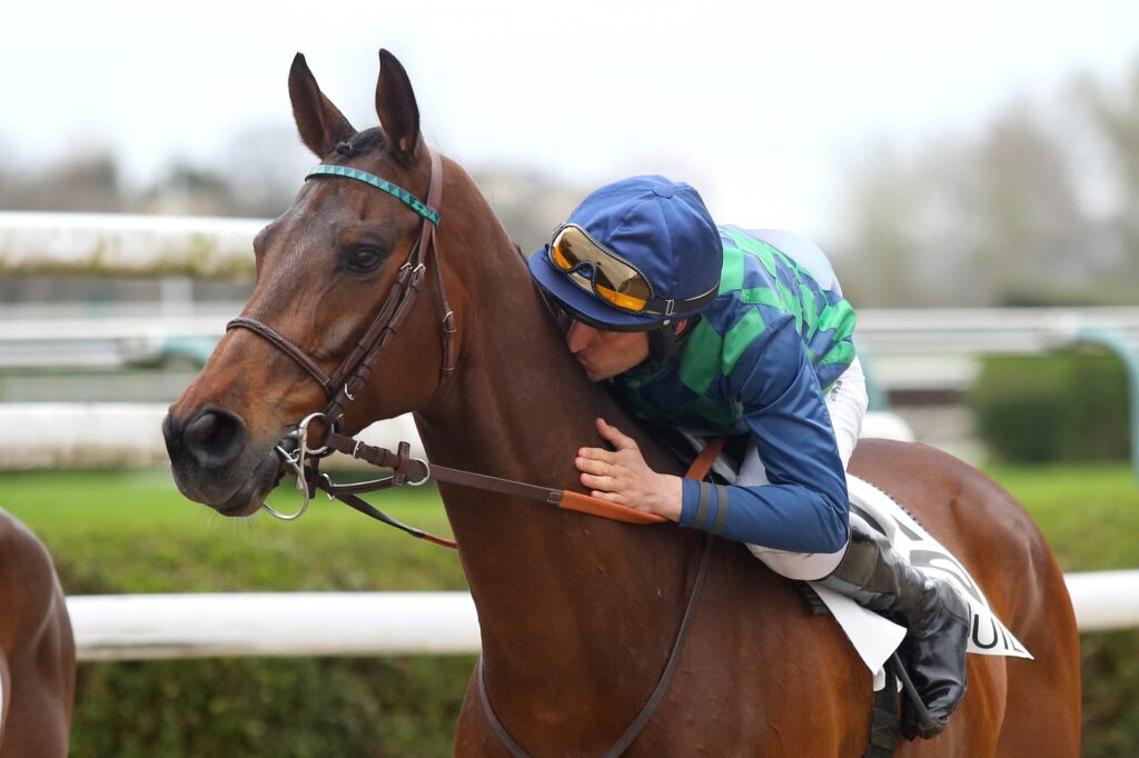 jockey cheval école
