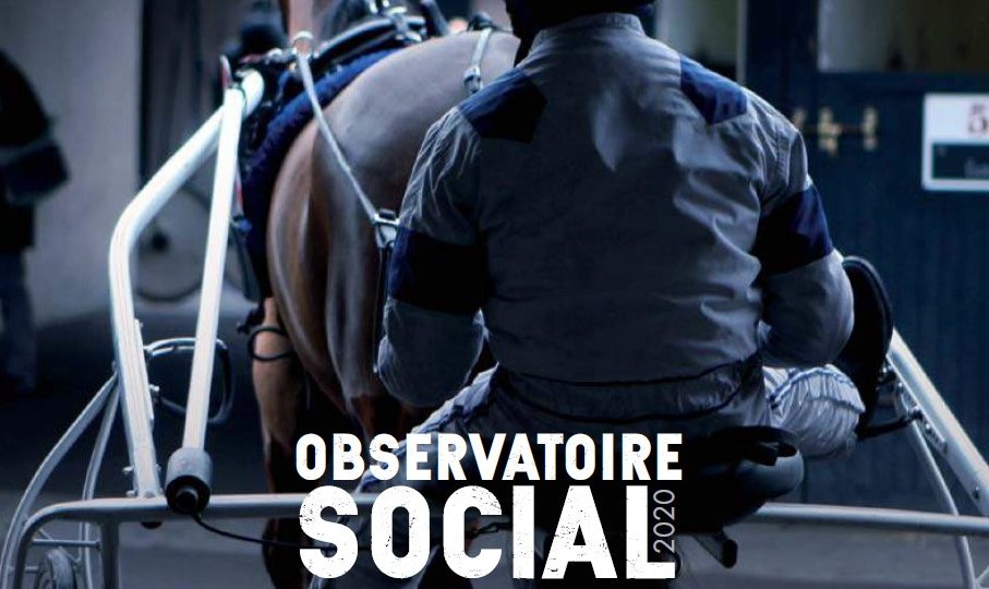 Observatoire Social 2020