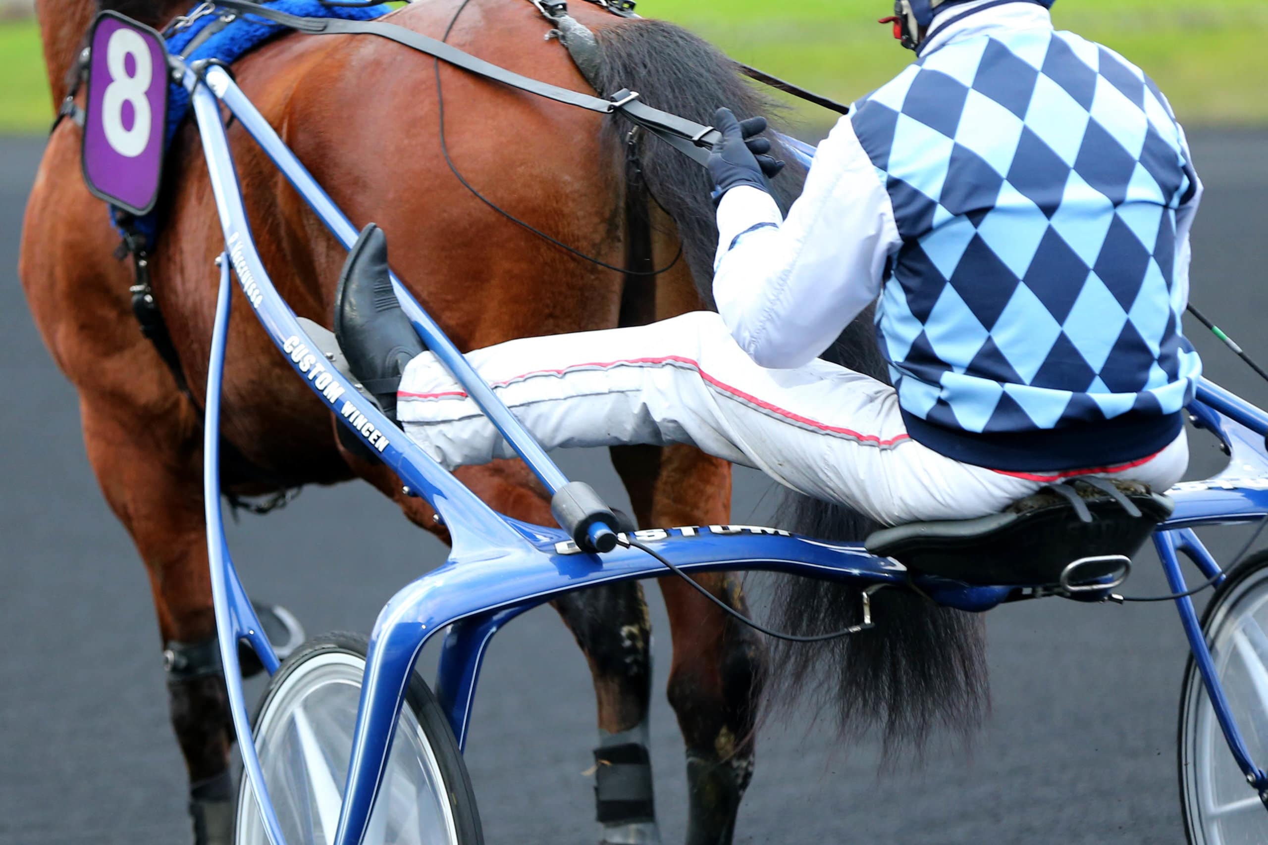 Vincennes 16/01/2017 Généralité - Ambiance