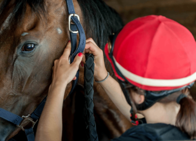 Formations cheval AFASEC