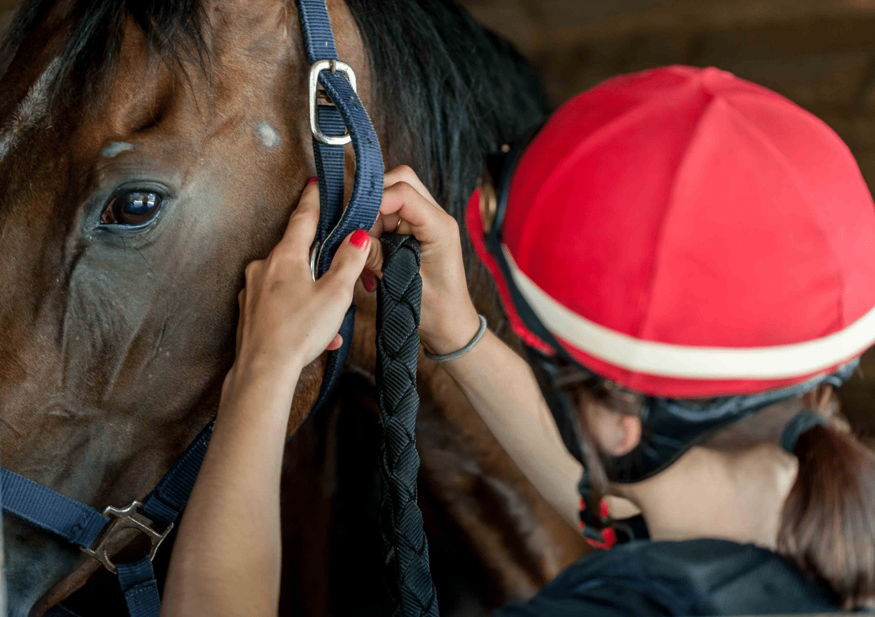 Formations cheval AFASEC