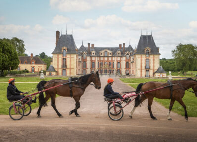 hippodrome de Grosbois trot élèves chevaux