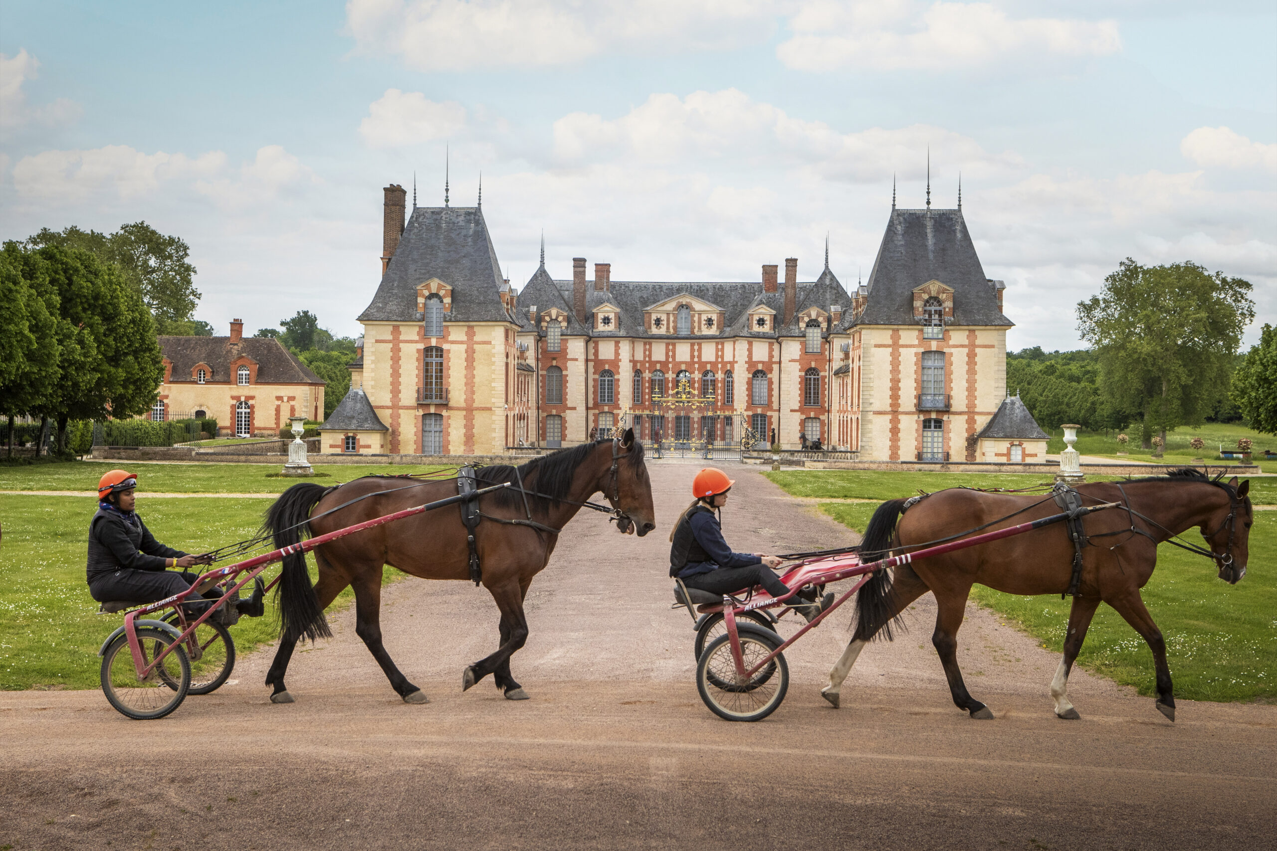 hippodrome de Grosbois trot élèves chevaux