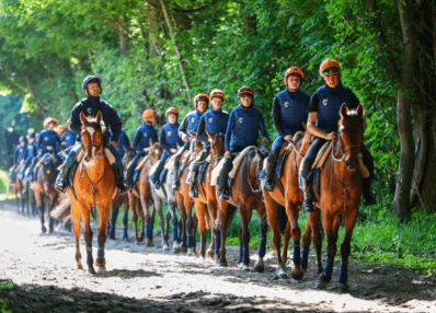 Pistes de Chantilly Chevaux élèves
