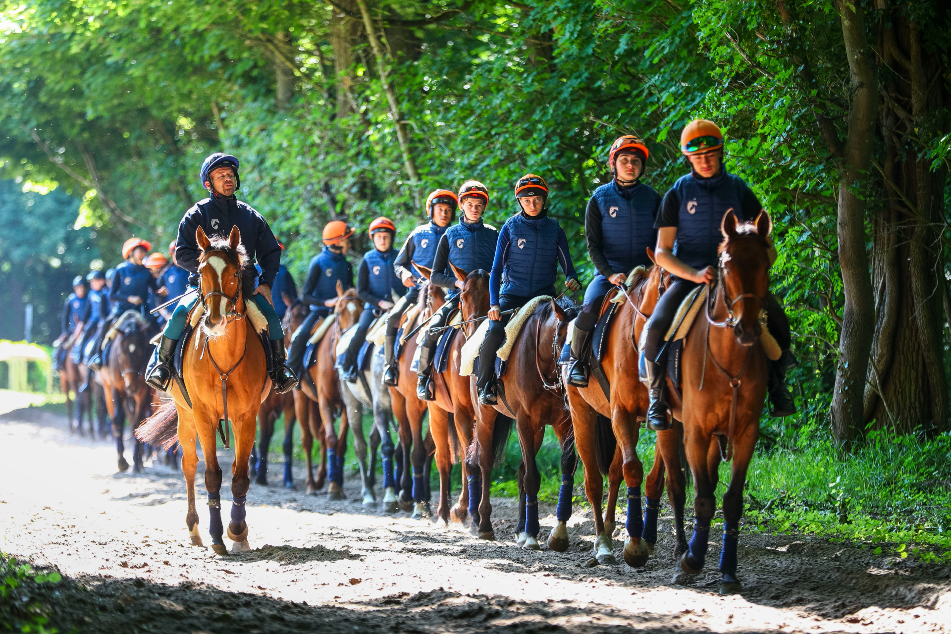 Pistes de Chantilly Chevaux élèves