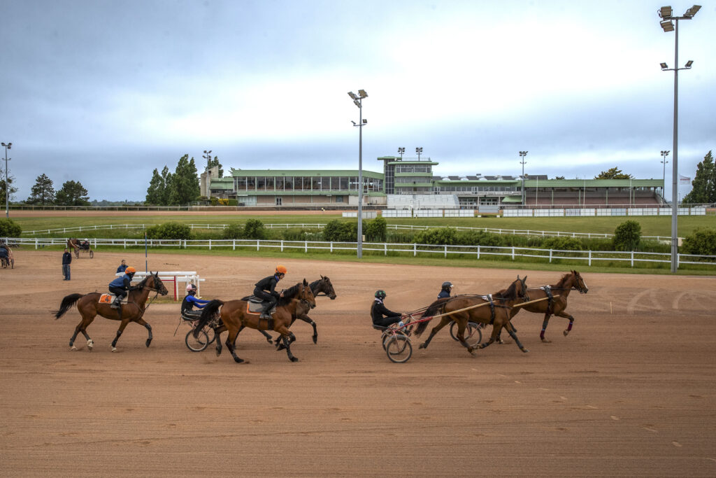 Hippodrome de Graignes Chevaux élèves