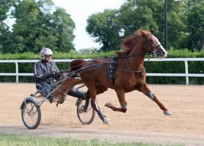 Le lad driver à l'entraînement