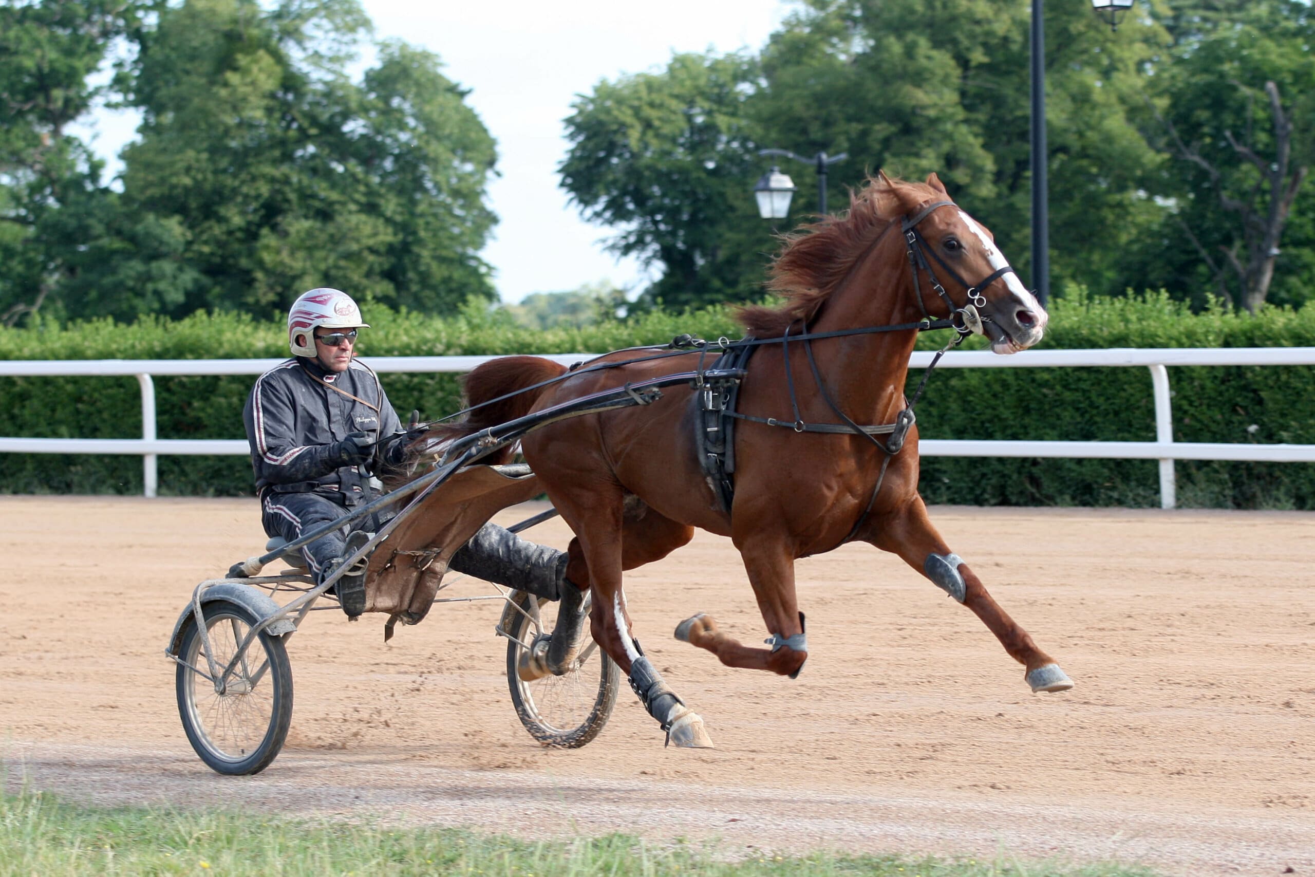 Le lad driver à l'entraînement