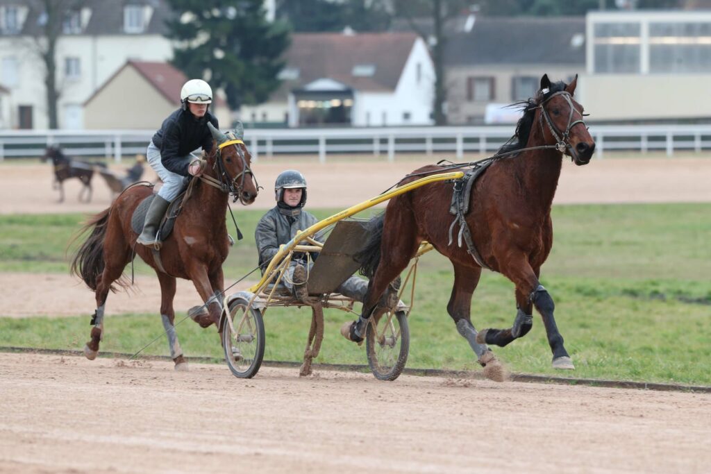 Le métier de lad-driver