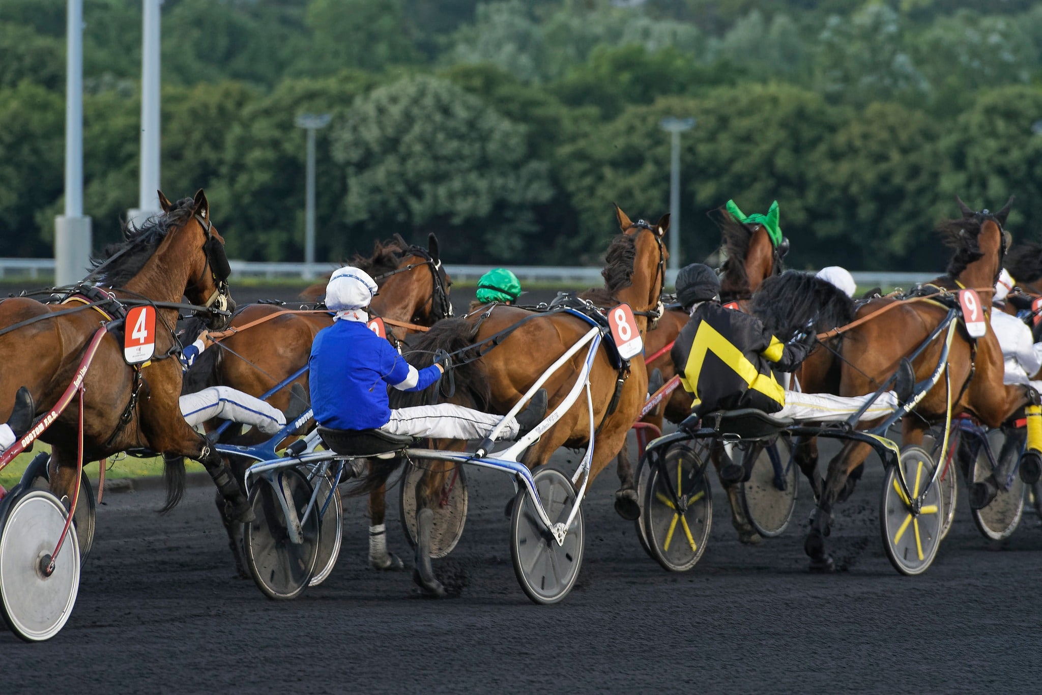 Challenge des courses écoles de trot