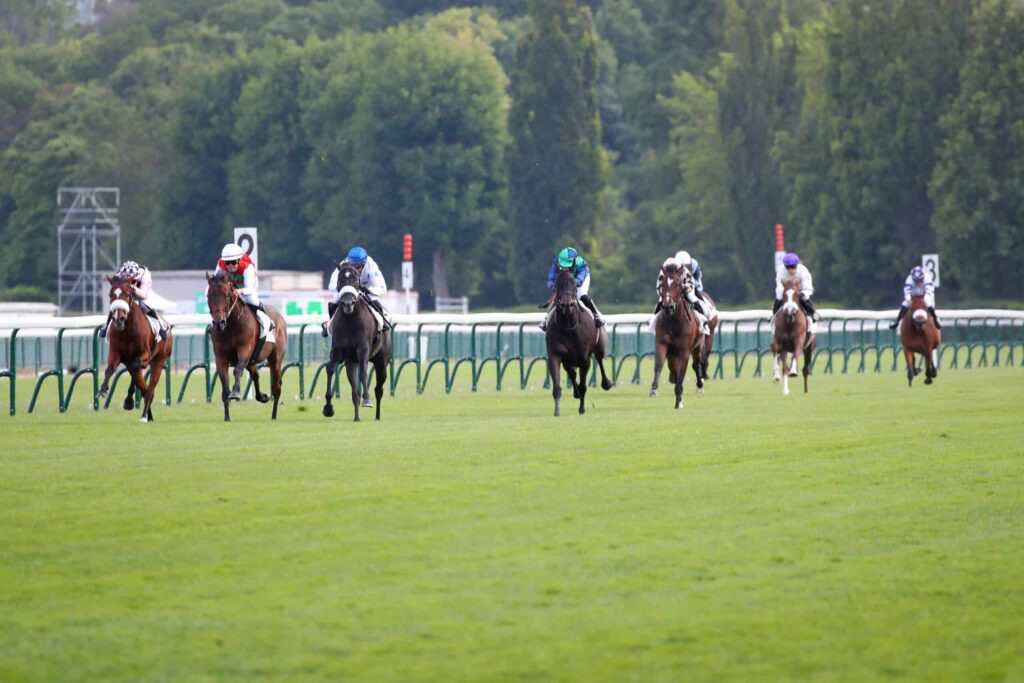 hippodrome pour métier de personnel d'hippodrome