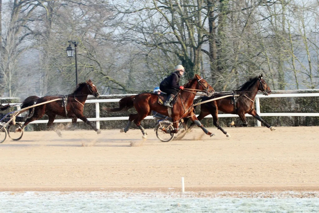 QUELLES SONT LES <span class="text-accent">COMPÉTENCES</span> DU CAVALIER·ÈRE D'ENTRAÎNEMENT DE TROT ?