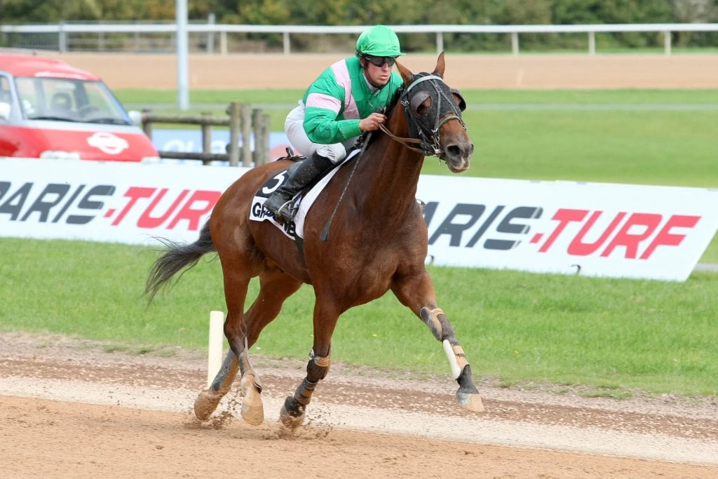 QUELLES SONT LES <span class="text-accent">COMPÉTENCES</span> DU JOCKEY ET JOCKEY DRIVER DE TROT ?