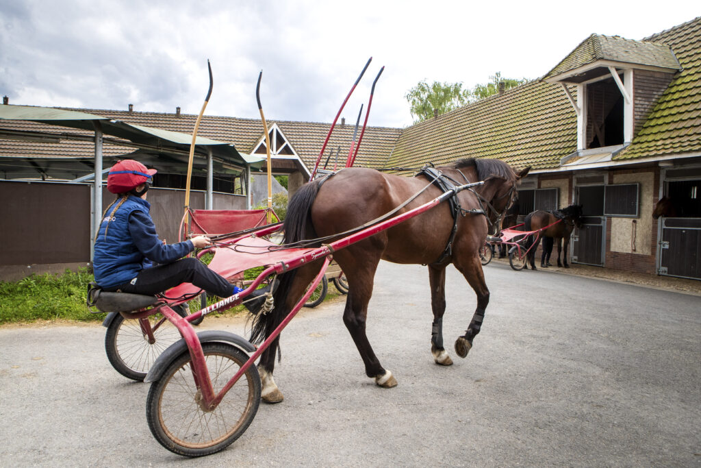 Cavalier d'entraînement de trot