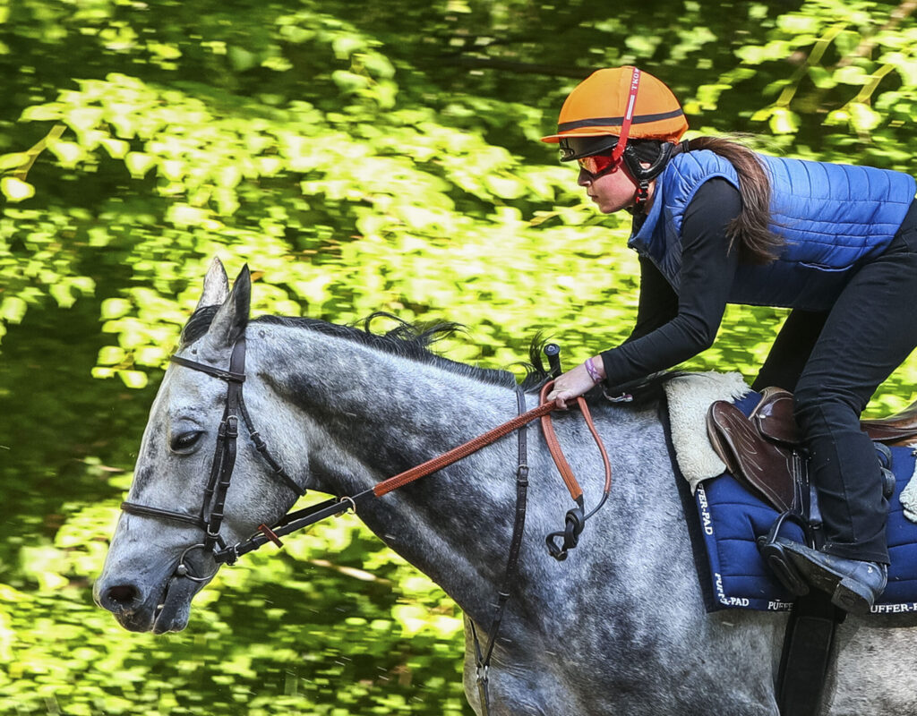 Cavalier d'entrainement galop