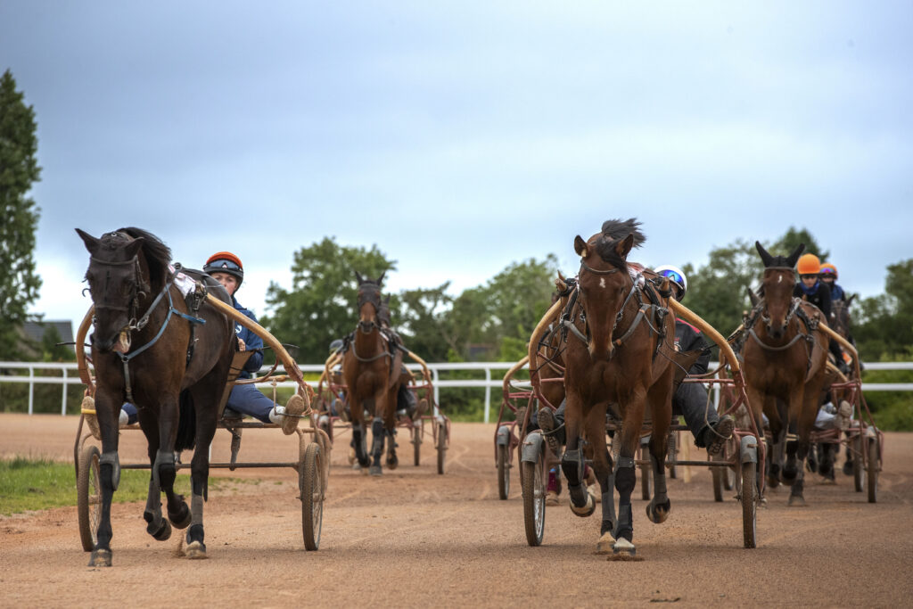 Cavalier d'entraînement de trot