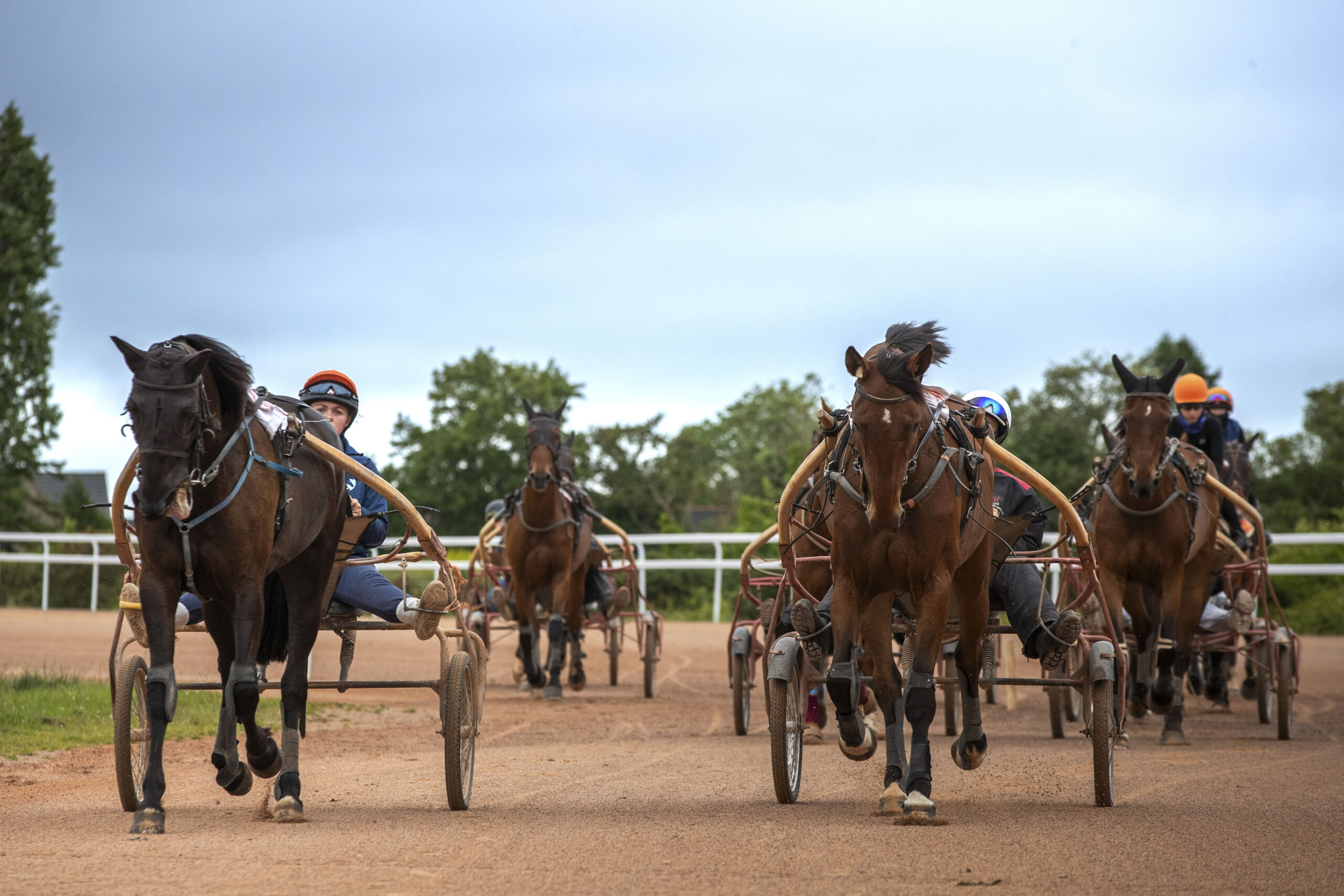 QUELLES SONT LES <span class="text-accent">MISSIONS</span> DU CAVALIER·ÈRE D'ENTRAÎNEMENT DE TROT ?