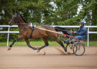 Cavalier d'entraînement de trot