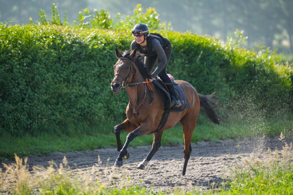 Cavalière d'entrainement galop
