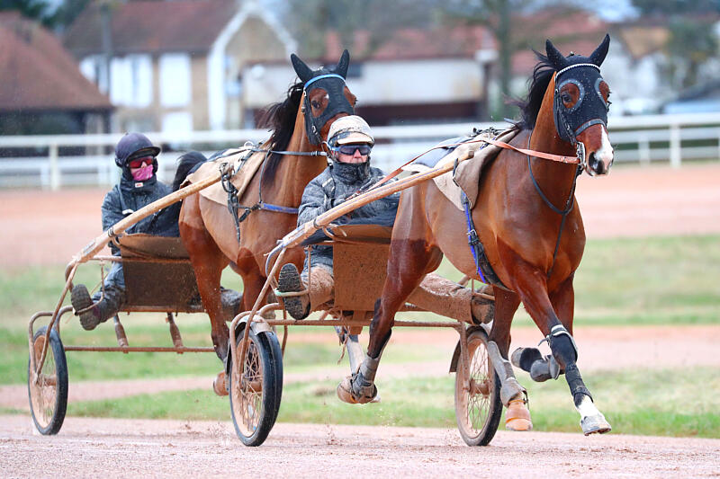 QUEL EST LE <span class="text-accent">SALAIRE</span> D’UN·E CAVALIER·ÈRE D'ENTRAÎNEMENT DE TROT ?