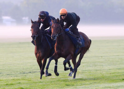 Cavaliers d'entrainement galop