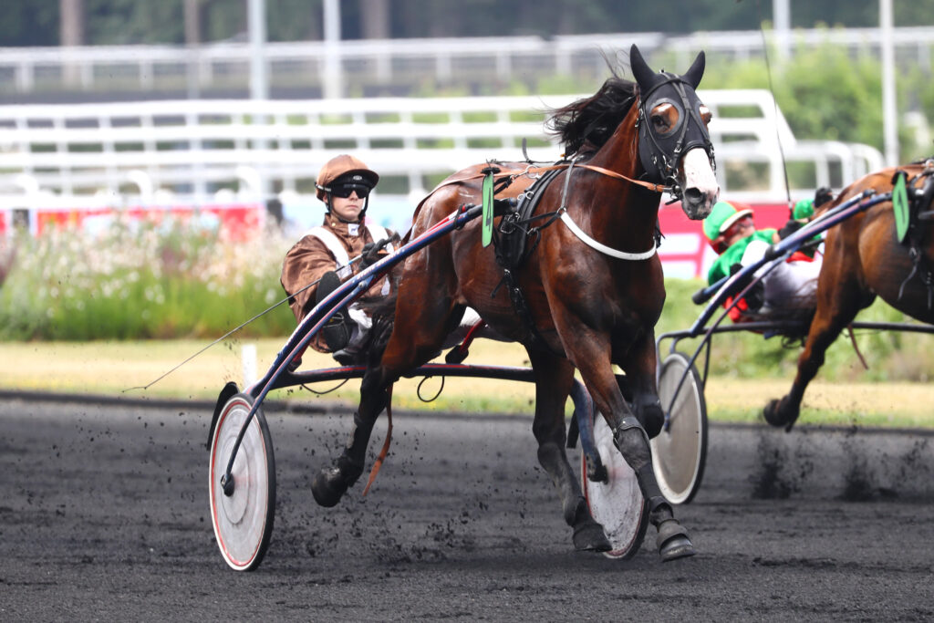 Jockey driver de trot