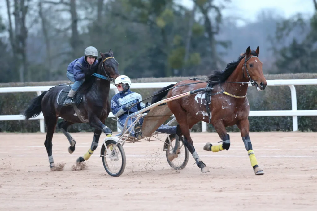 QUELLES SONT LES <span class="text-accent">MISSIONS</span> DU CAVALIER·ÈRE D'ENTRAÎNEMENT DE TROT ?