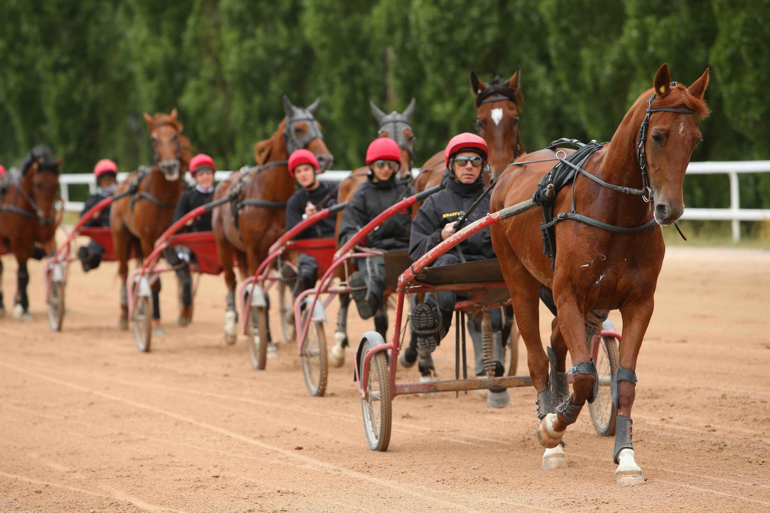 QUELLES SONT LES <span class="text-accent">COMPÉTENCES</span> DU CAVALIER·ÈRE D'ENTRAÎNEMENT DE TROT ?
