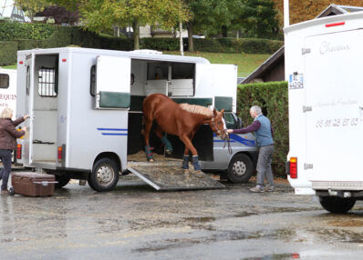 TAV - Transport d'Animaux Vivants