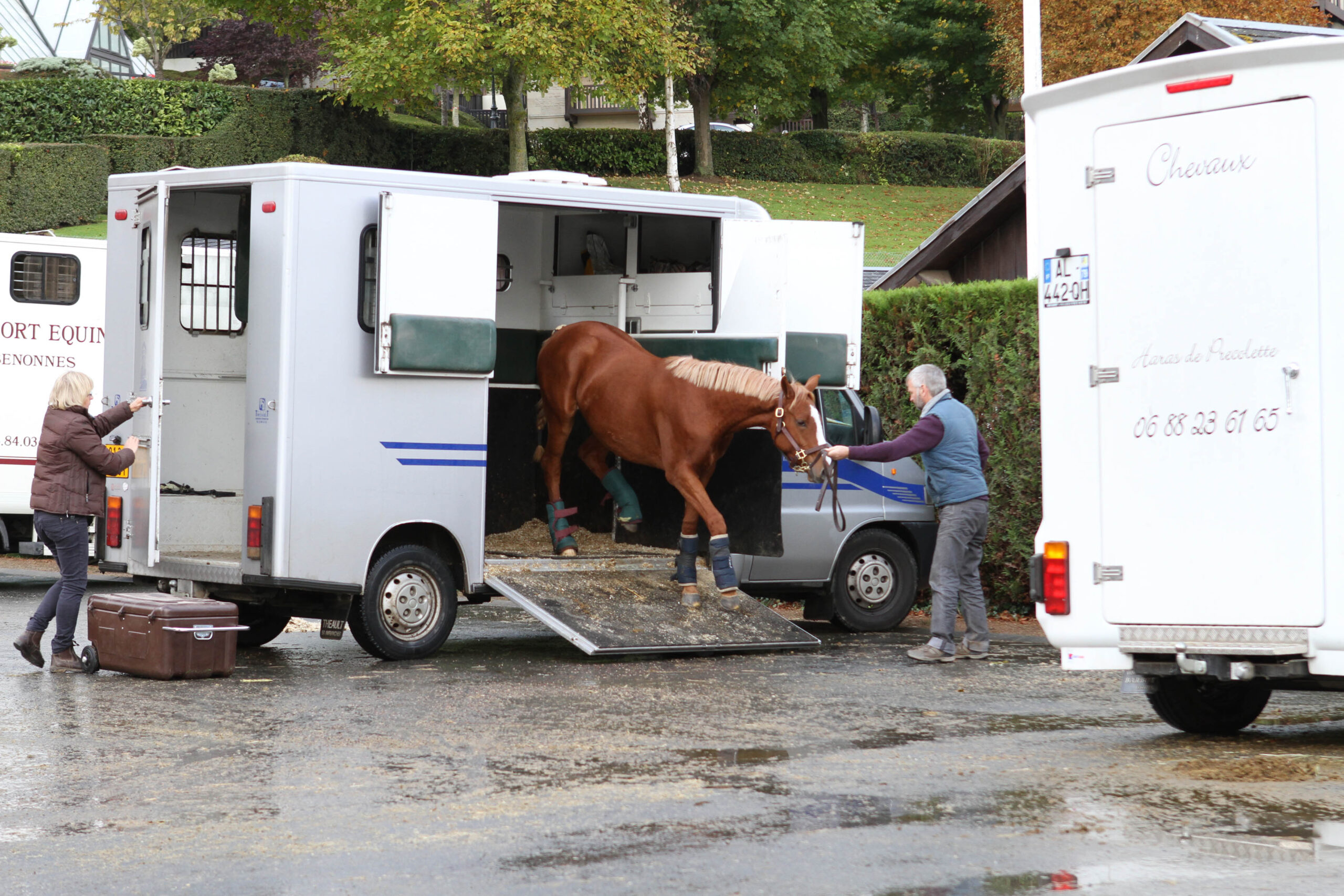 TAV - Transport d'Animaux Vivants