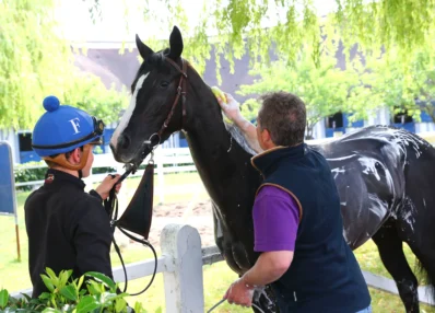 Cheval et soigneurs pour métier d'agent d'écurie