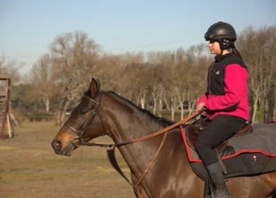 Cheval cavalier pour métier cavalier d'entraînement de galop