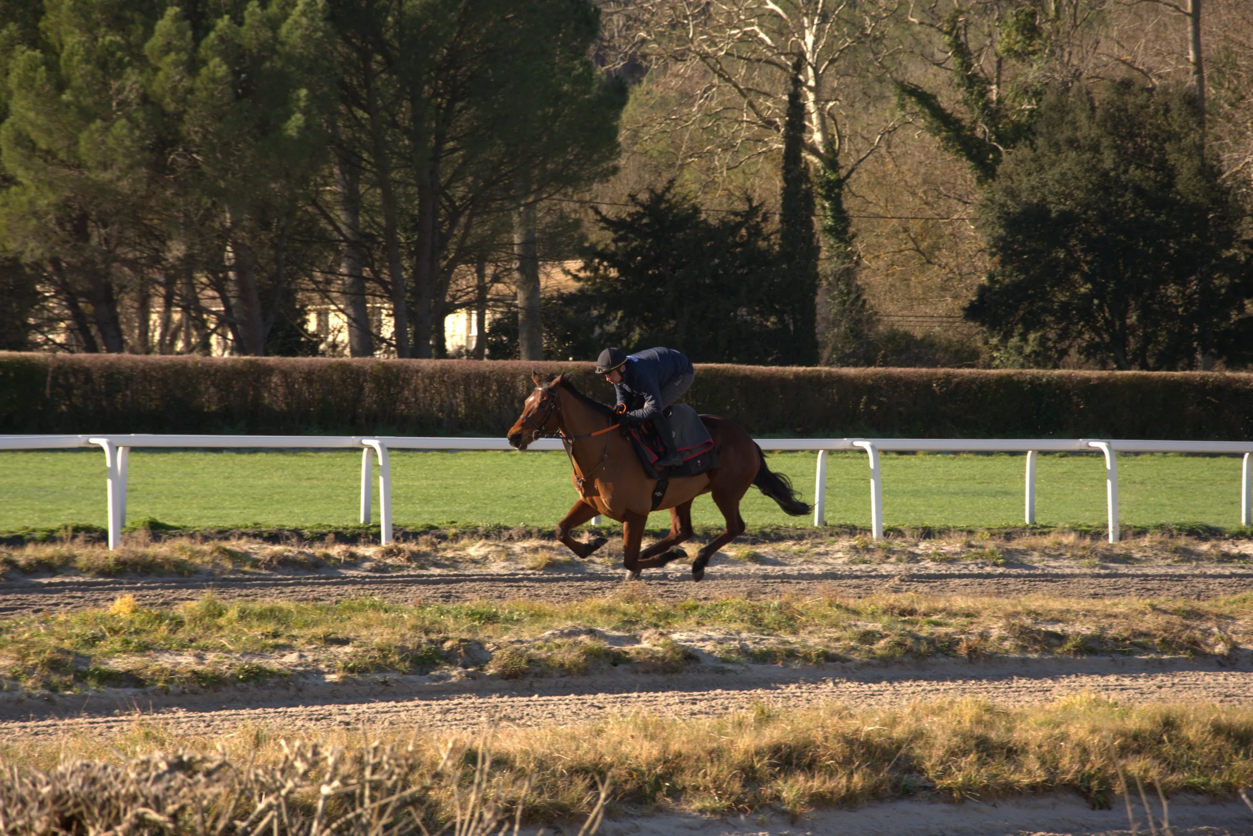 QUELLES SONT LES <span class="text-accent"> PERSPECTIVES D'ÉVOLUTION </span> DU MÉTIER DE JOCKEY ET JOCKEY DRIVER DE TROT ?