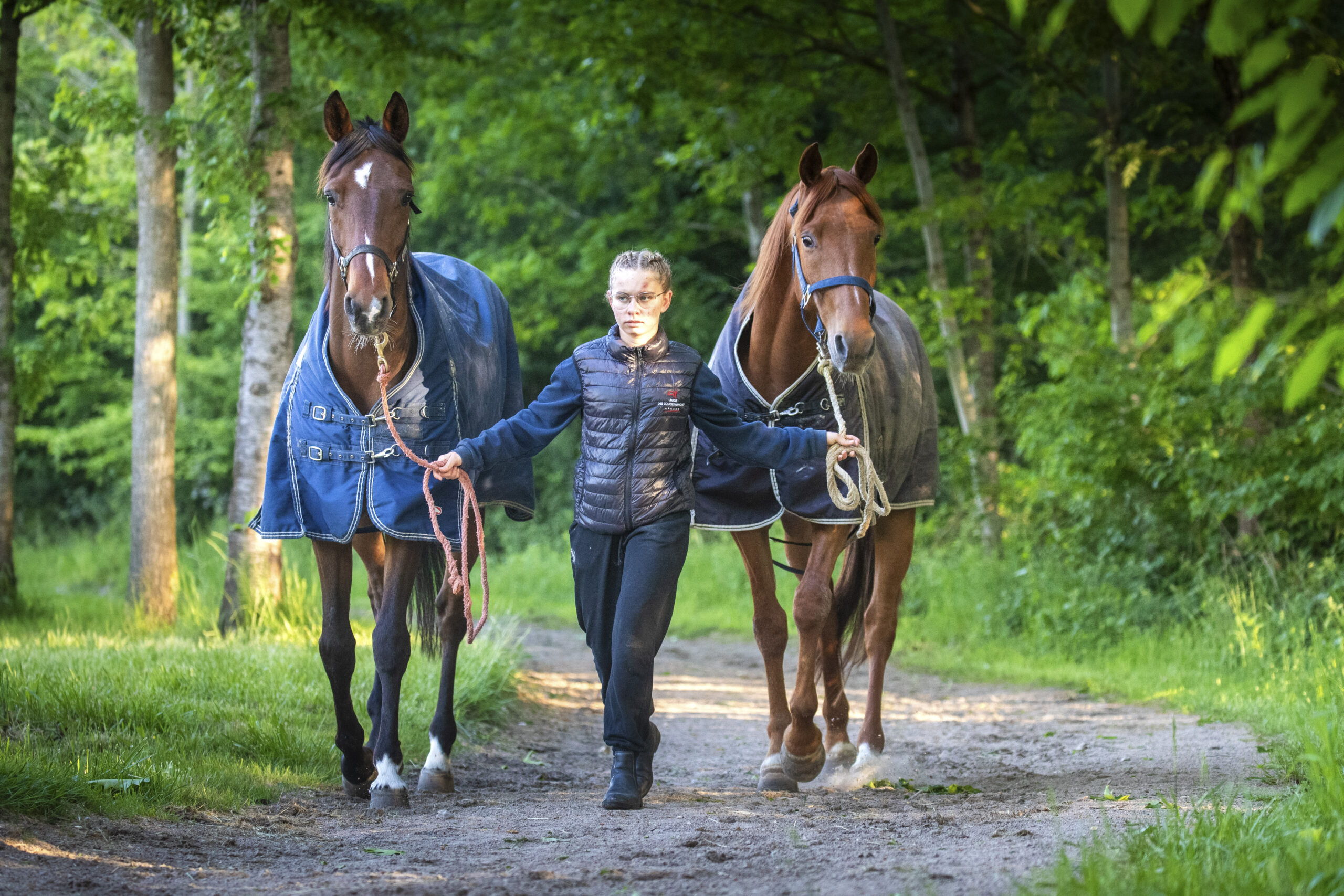 formation éducation et rééducation cheval