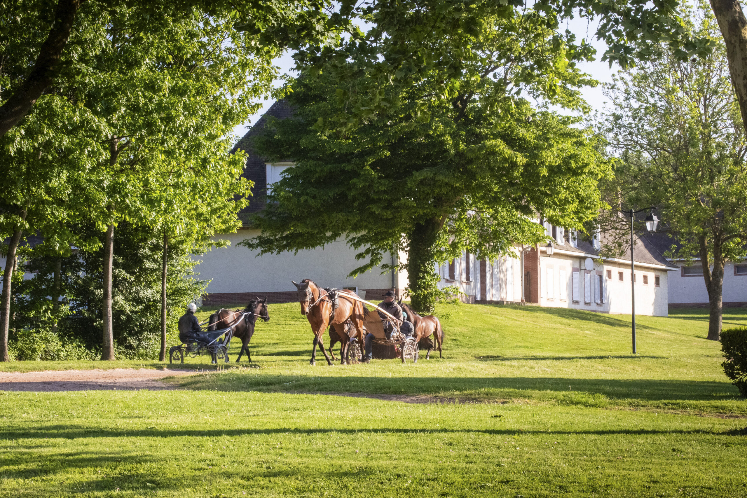 Formation gestion des prairies