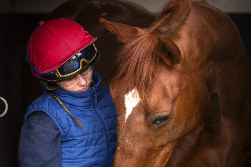 Formation bien-être cheval