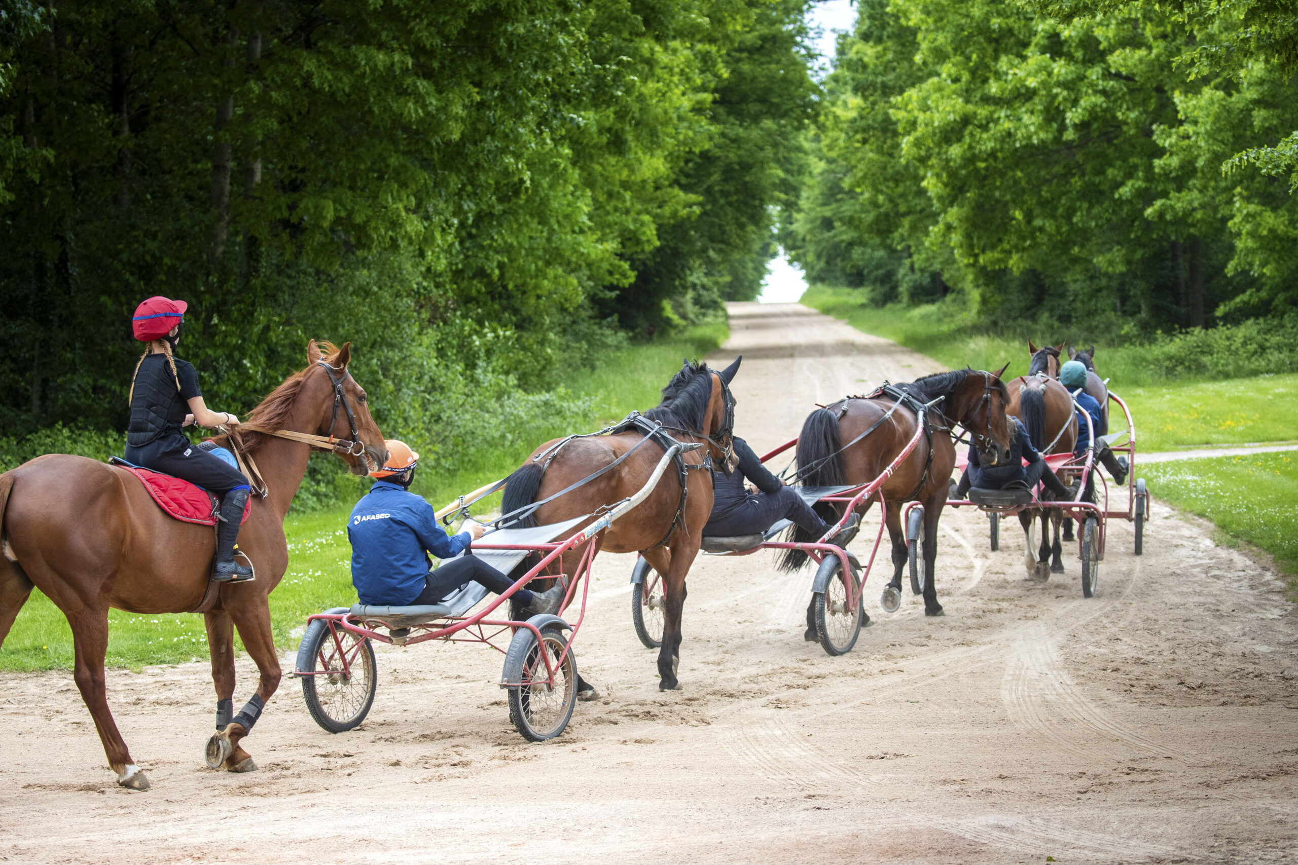 QUELLES SONT LES <span class="text-accent"> PERSPECTIVES D'ÉVOLUTION </span> DU MÉTIER DE CAVALIER·ÈRE DE DÉBOURAGE ET DE PRÉ-ENTRAÎNEMENT ?