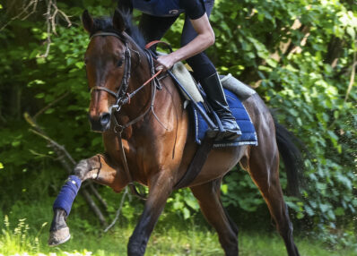 élève AFASEC entrainement Galop Gouvieux
