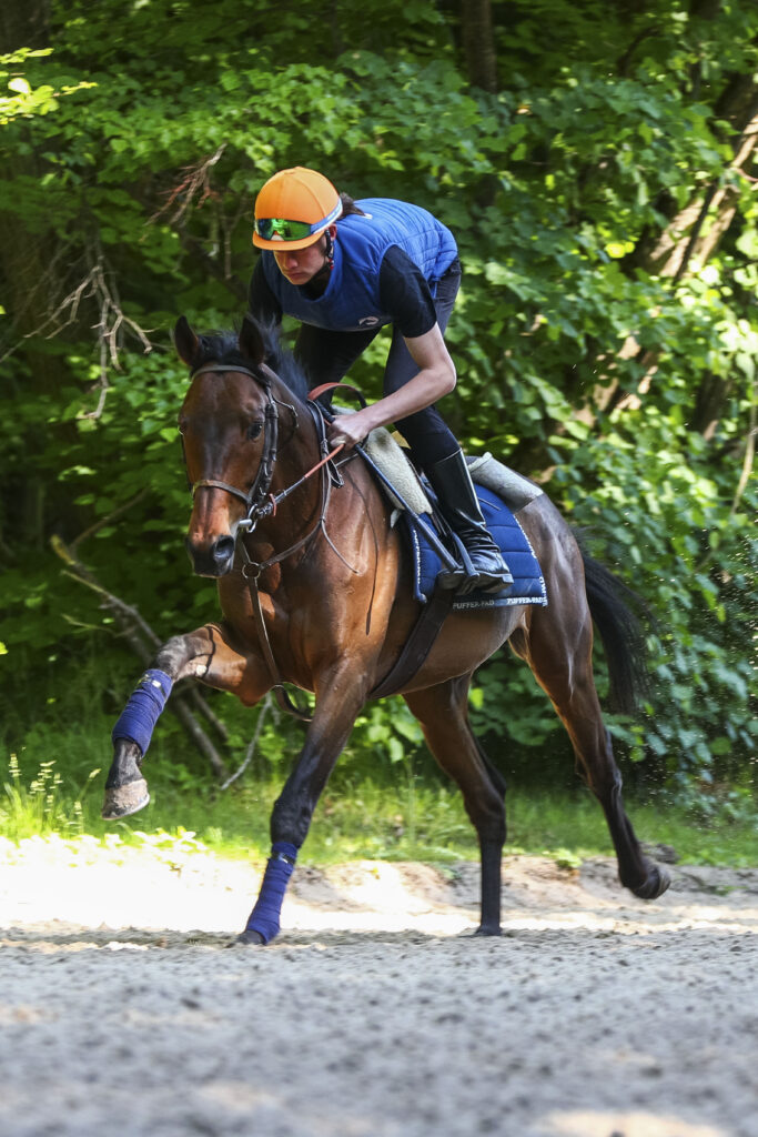 élève AFASEC entrainement Galop Gouvieux