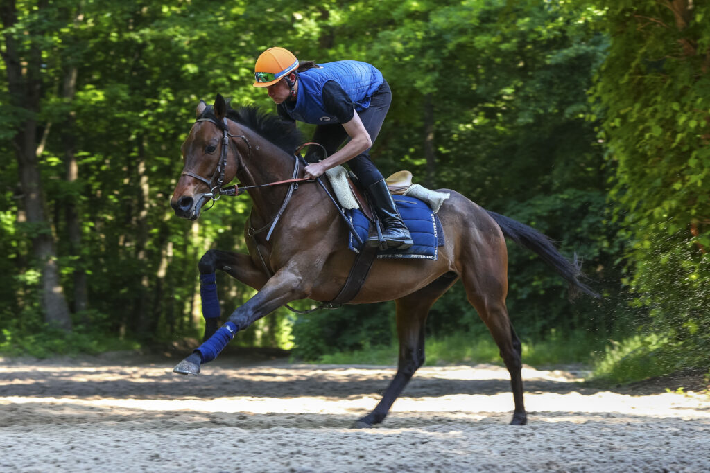 élève, cavalier d'entrainement