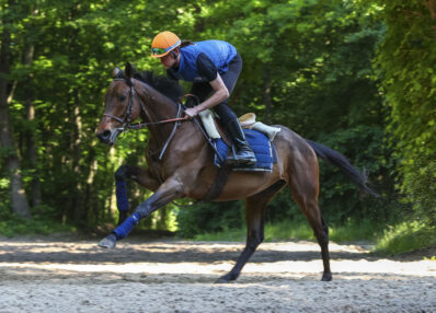 élève, cavalier d'entrainement