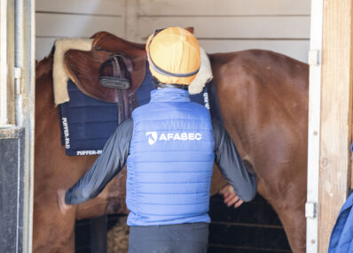 Cavalier débourrage et pré entrainement