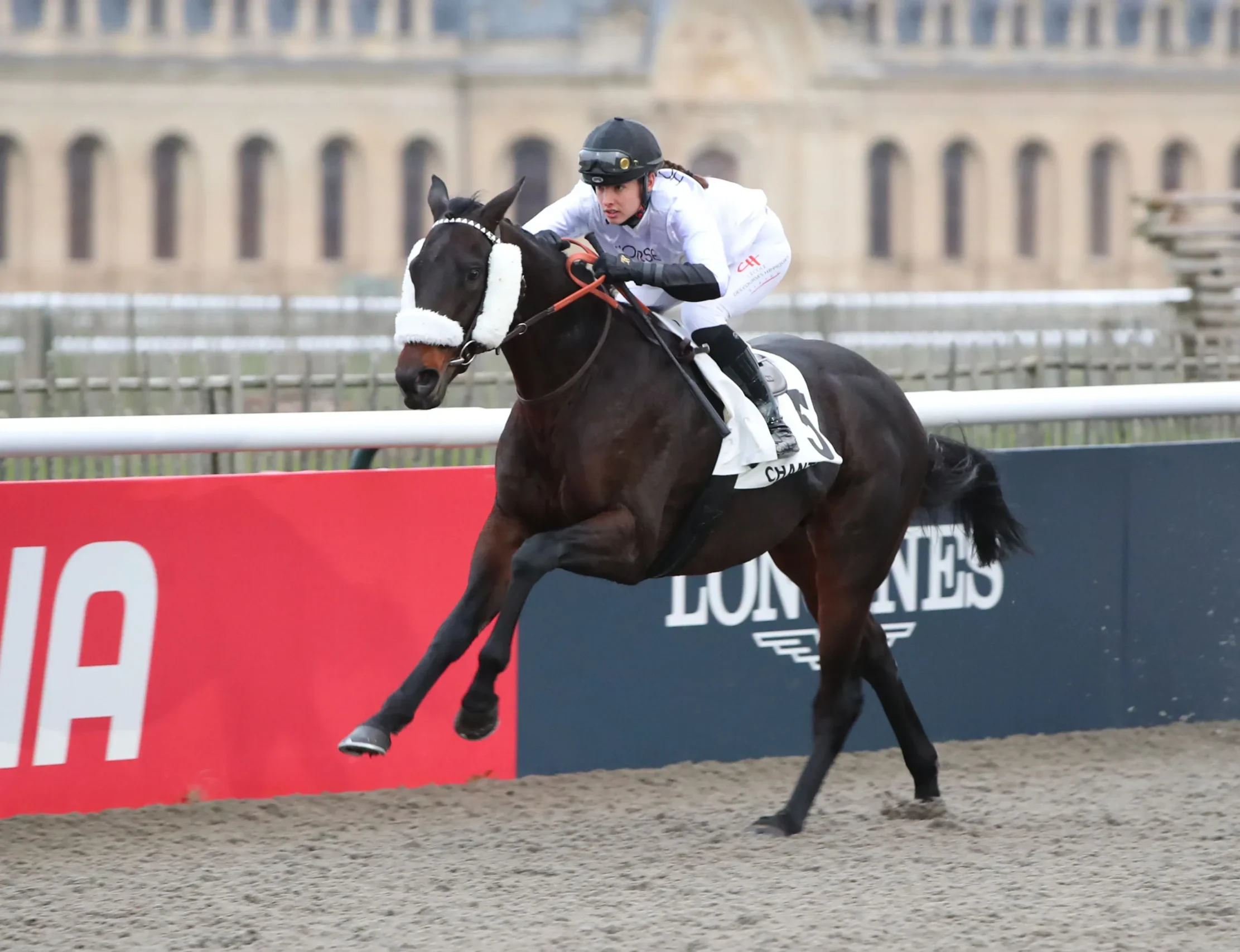 Cheval et jockey pour métier jockey