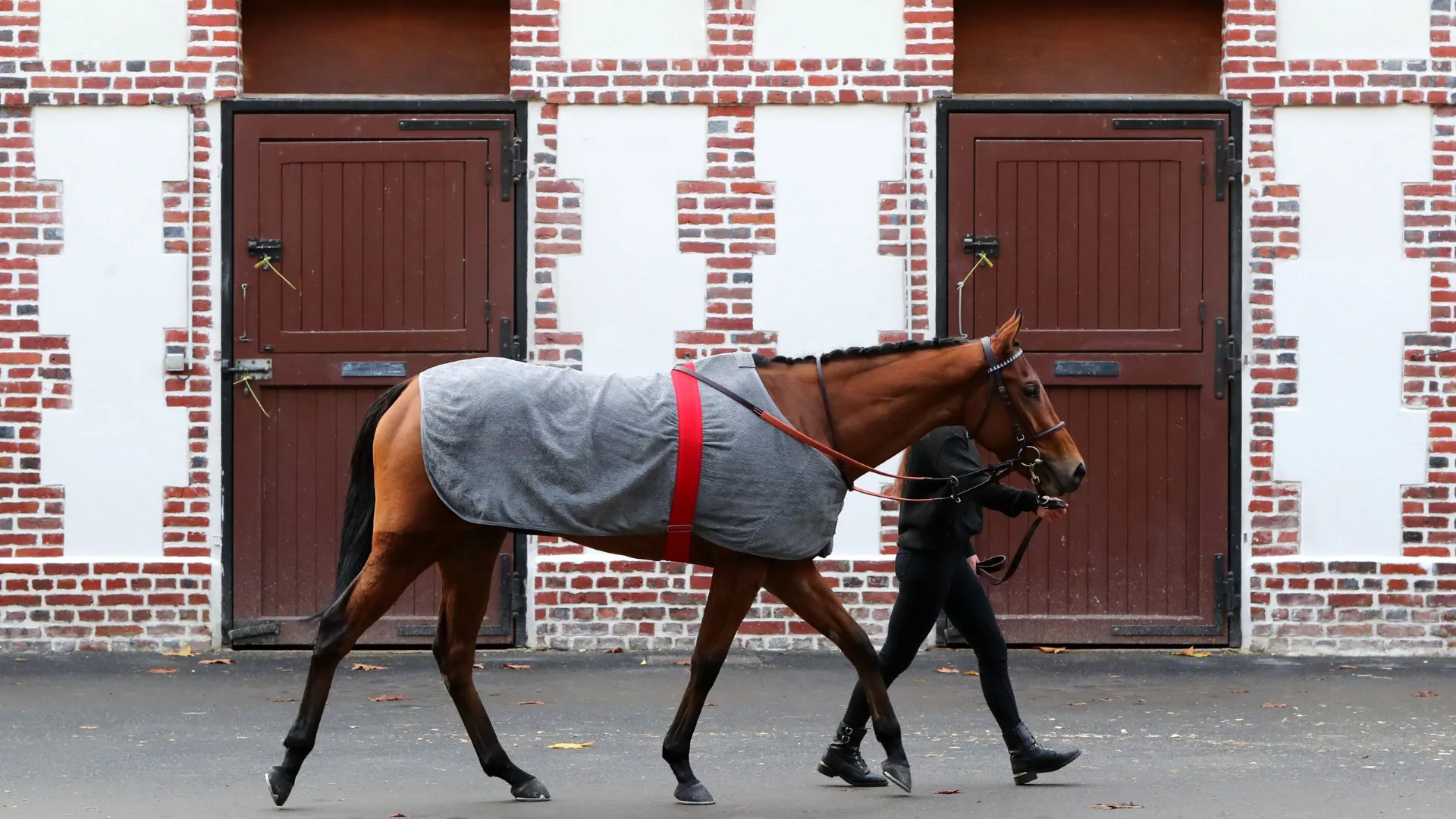 QUELLES SONT LES <span class="text-accent">COMPÉTENCES</span> DU PERSONNEL D’HIPPODROME ?