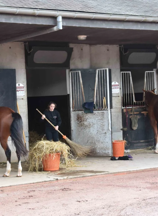 Ecurie avec chevaux et élèves AFASEC Académie Graignes