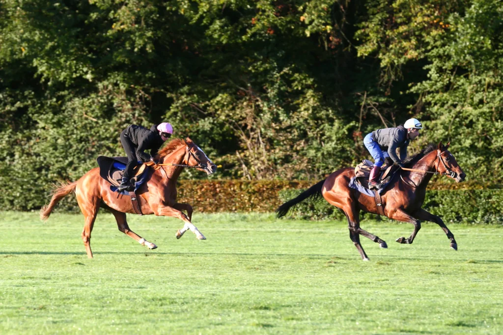 cavaliers et chevaux au galop