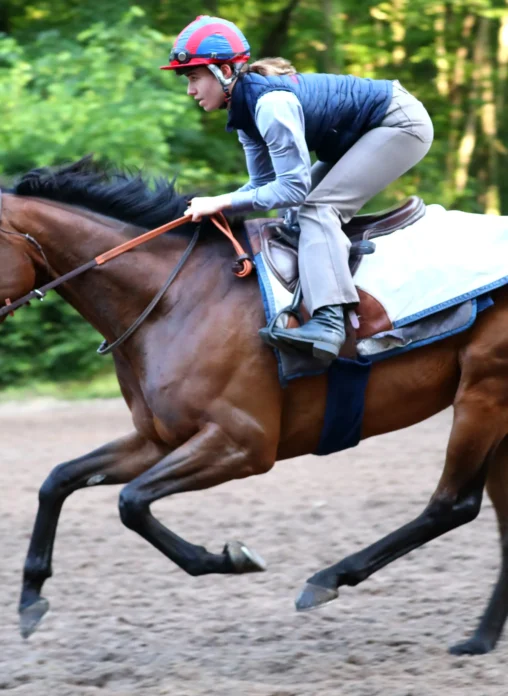 cheval au galop sur piste entrainement avec cavalier entrainement