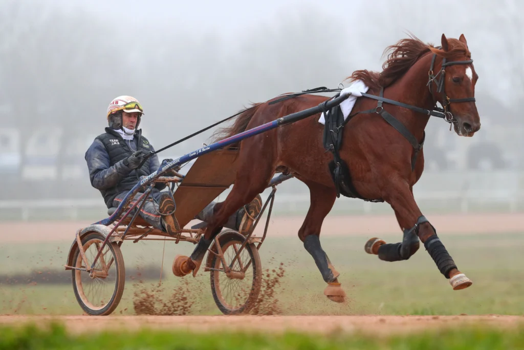 cheval au trot avec sulky et driver