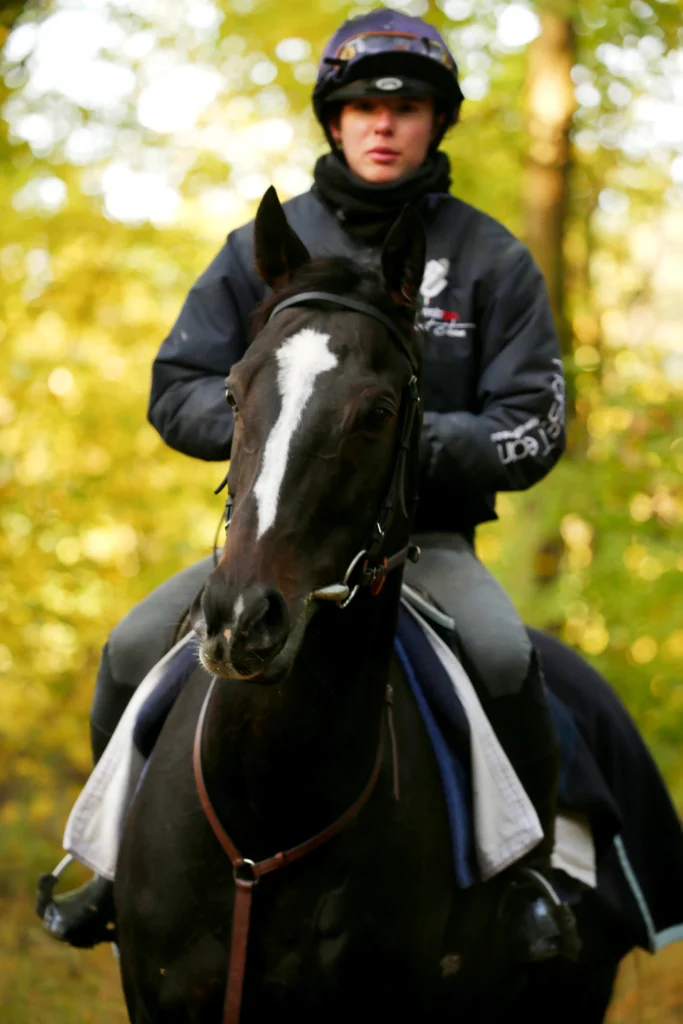 cheval avec cavalier entrainement