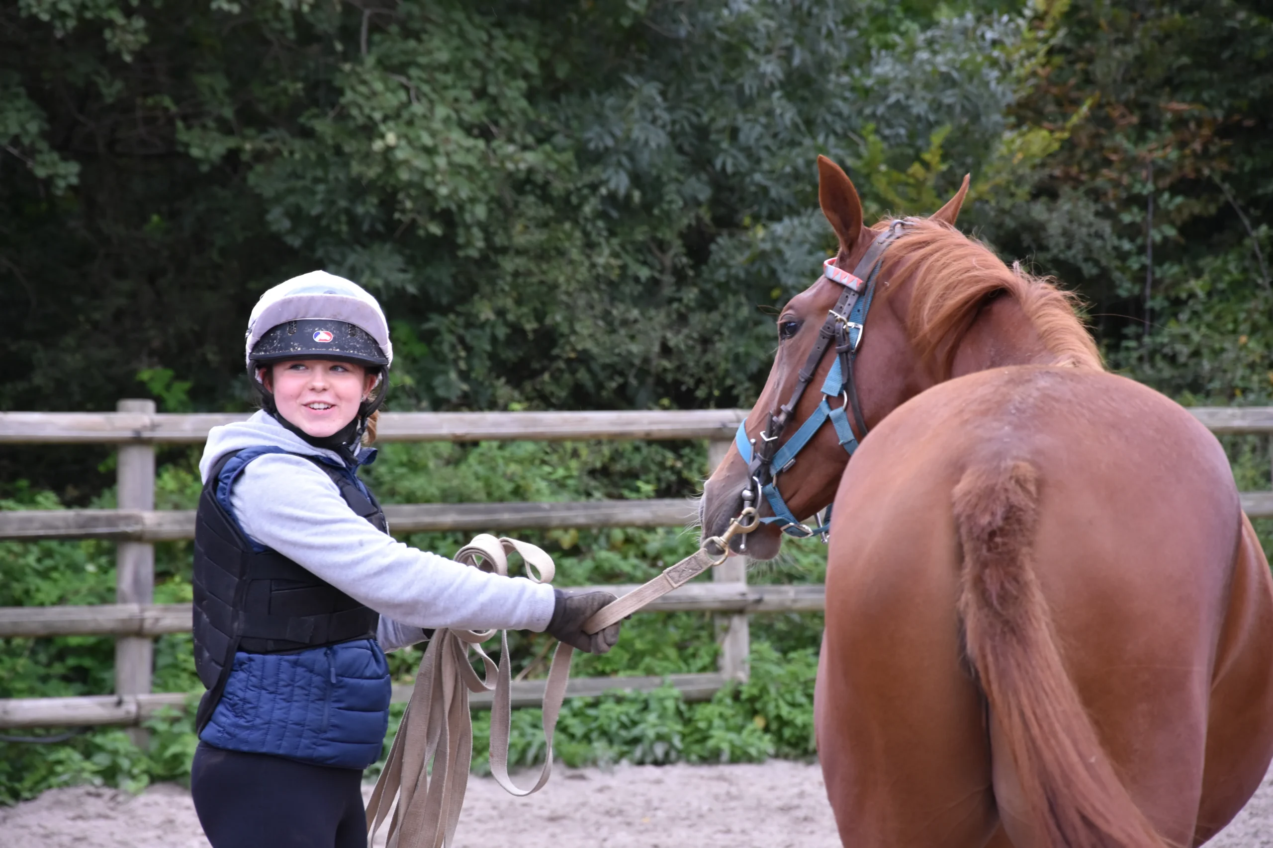 cheval débourré en longe et élève